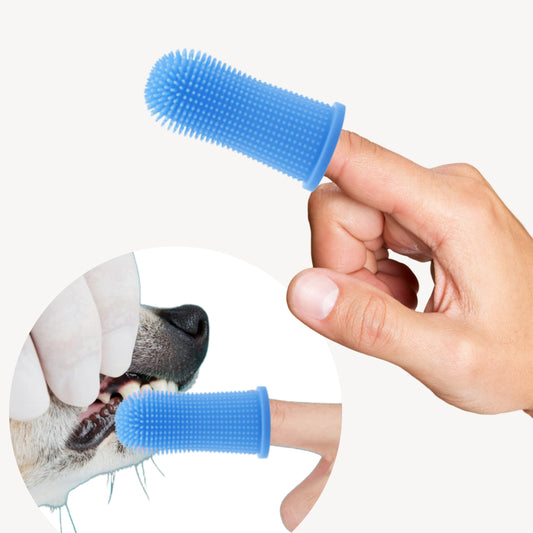 Silikonowa szczoteczka do zębów dla psa, kota - niebieska