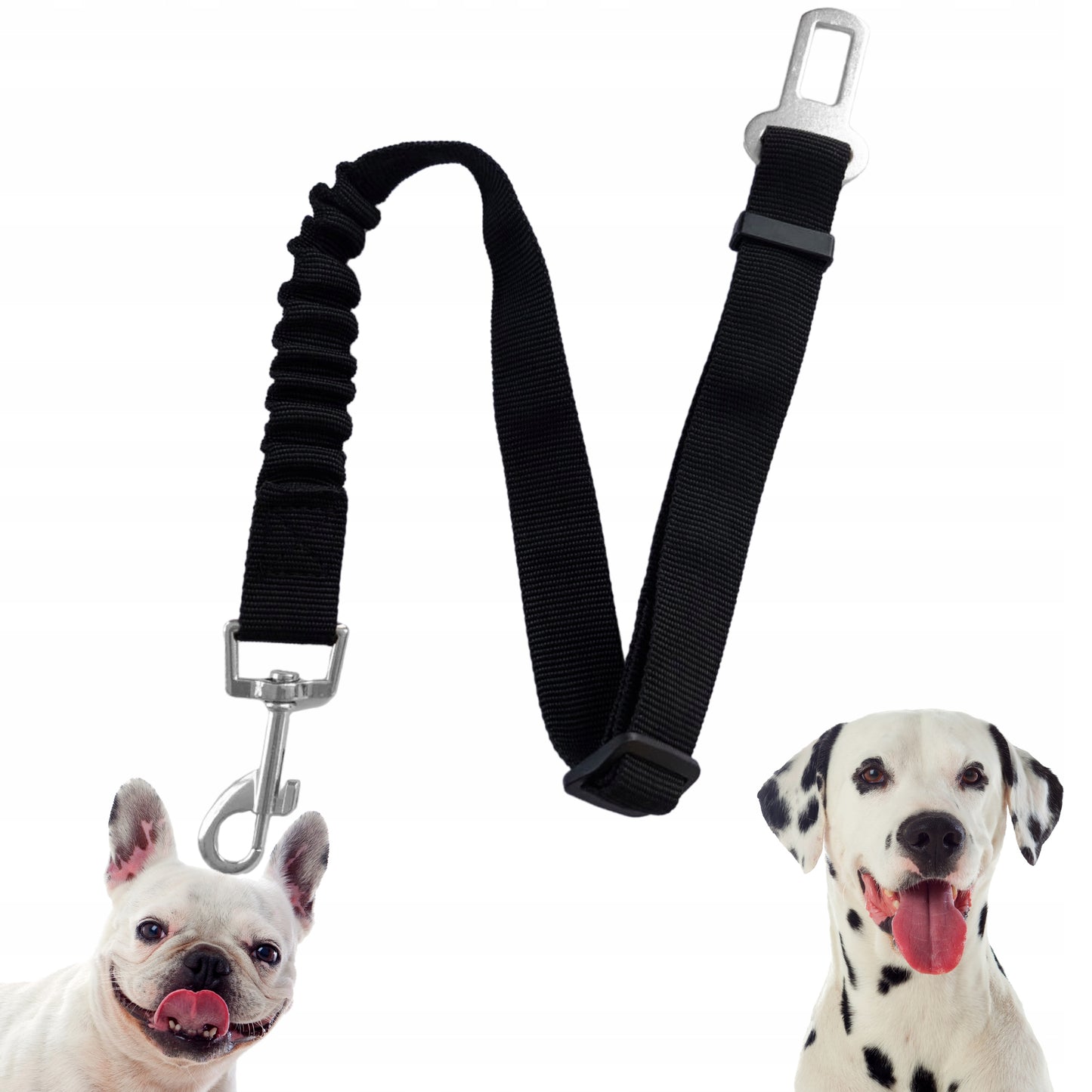 Pas bezpieczeństwa do samochodu dla psa i kota